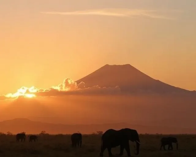 Best Time to Visit East Africa