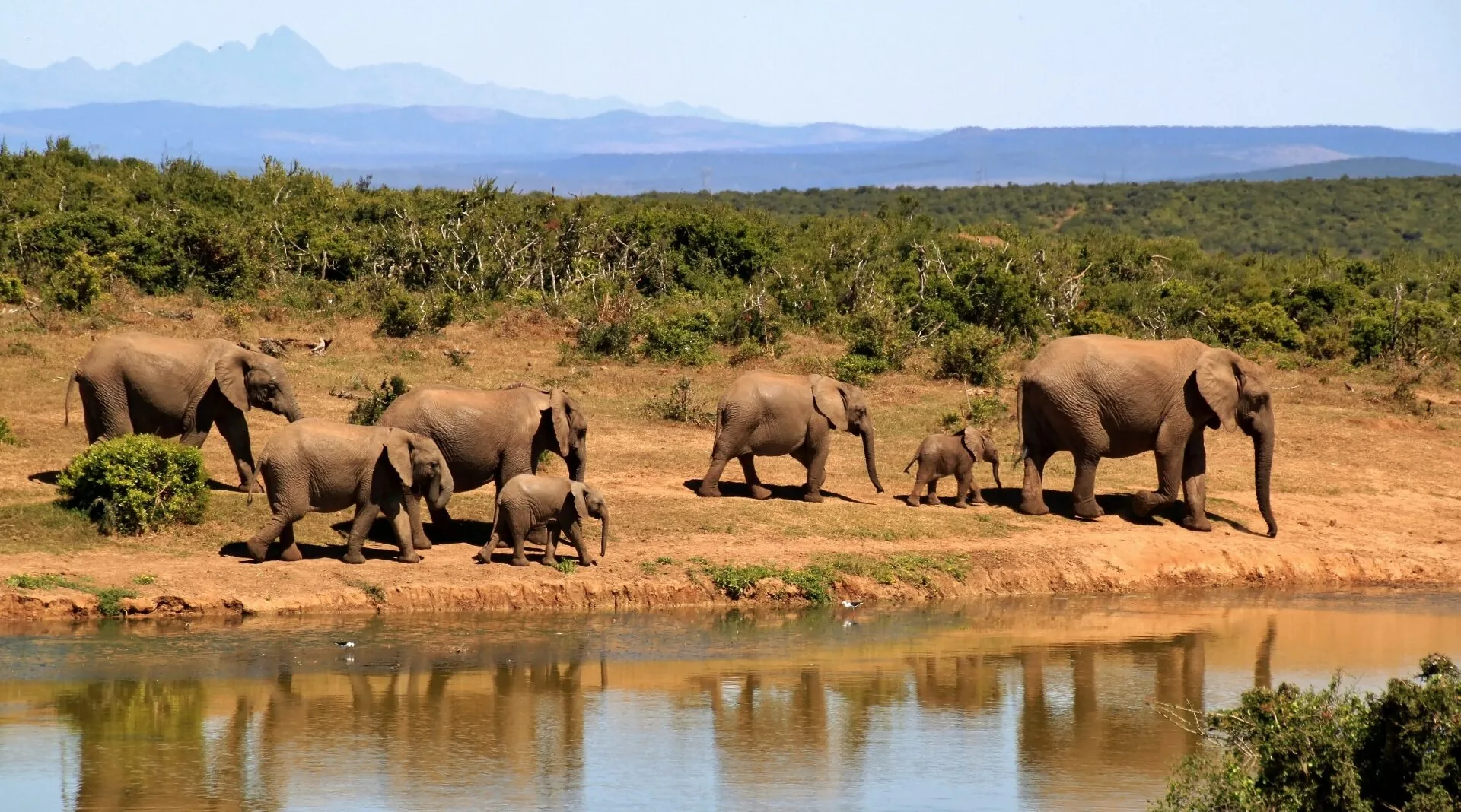 Conservation in Kenya