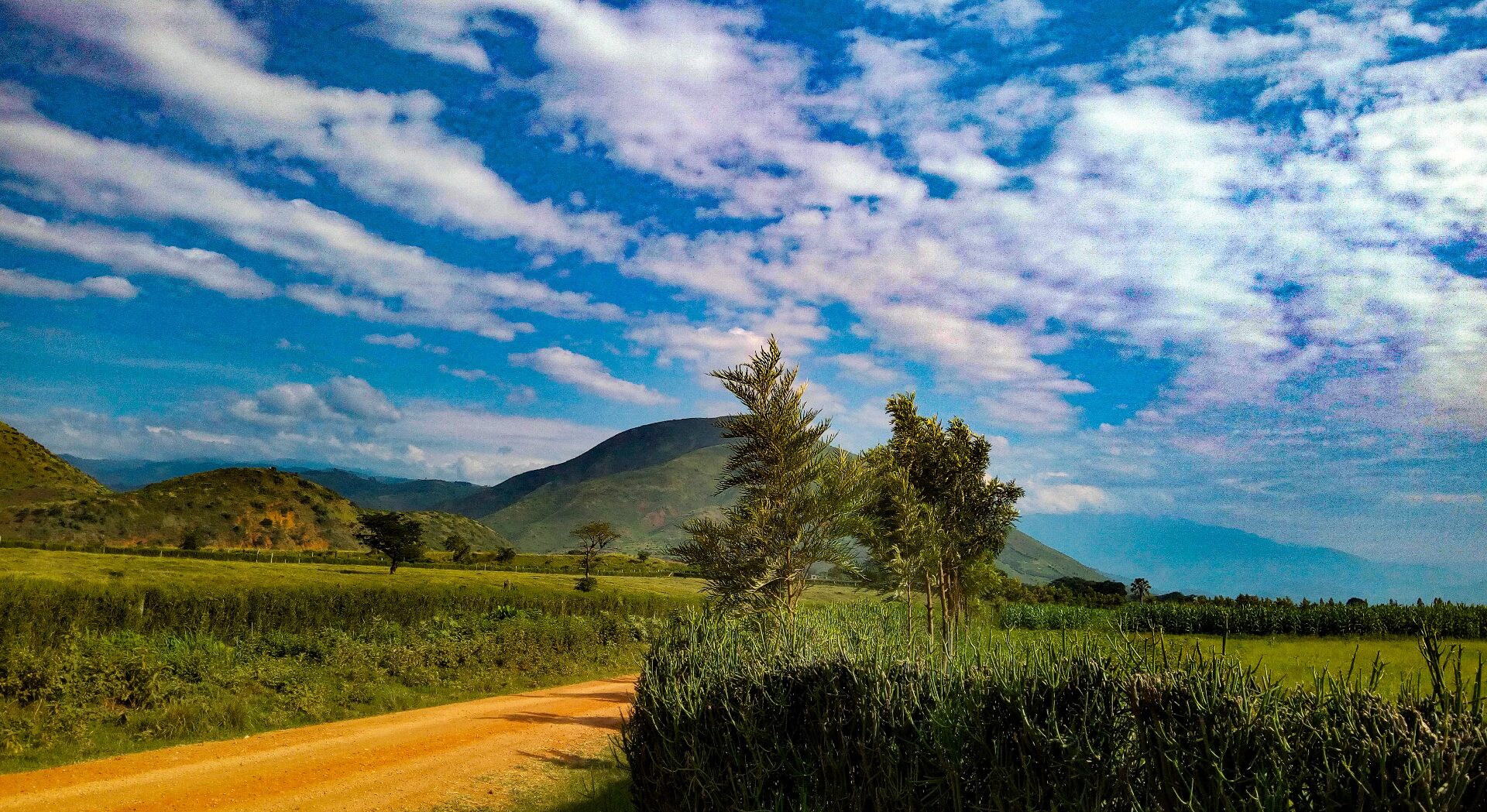 Scenic Landscapes in Rwanda